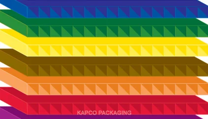 Plastic Corrugated Boxes