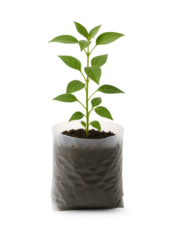 Bio Compostable Nursery Bags