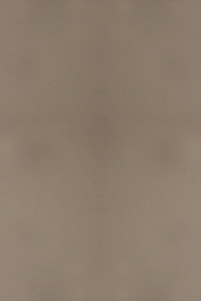 S-1008