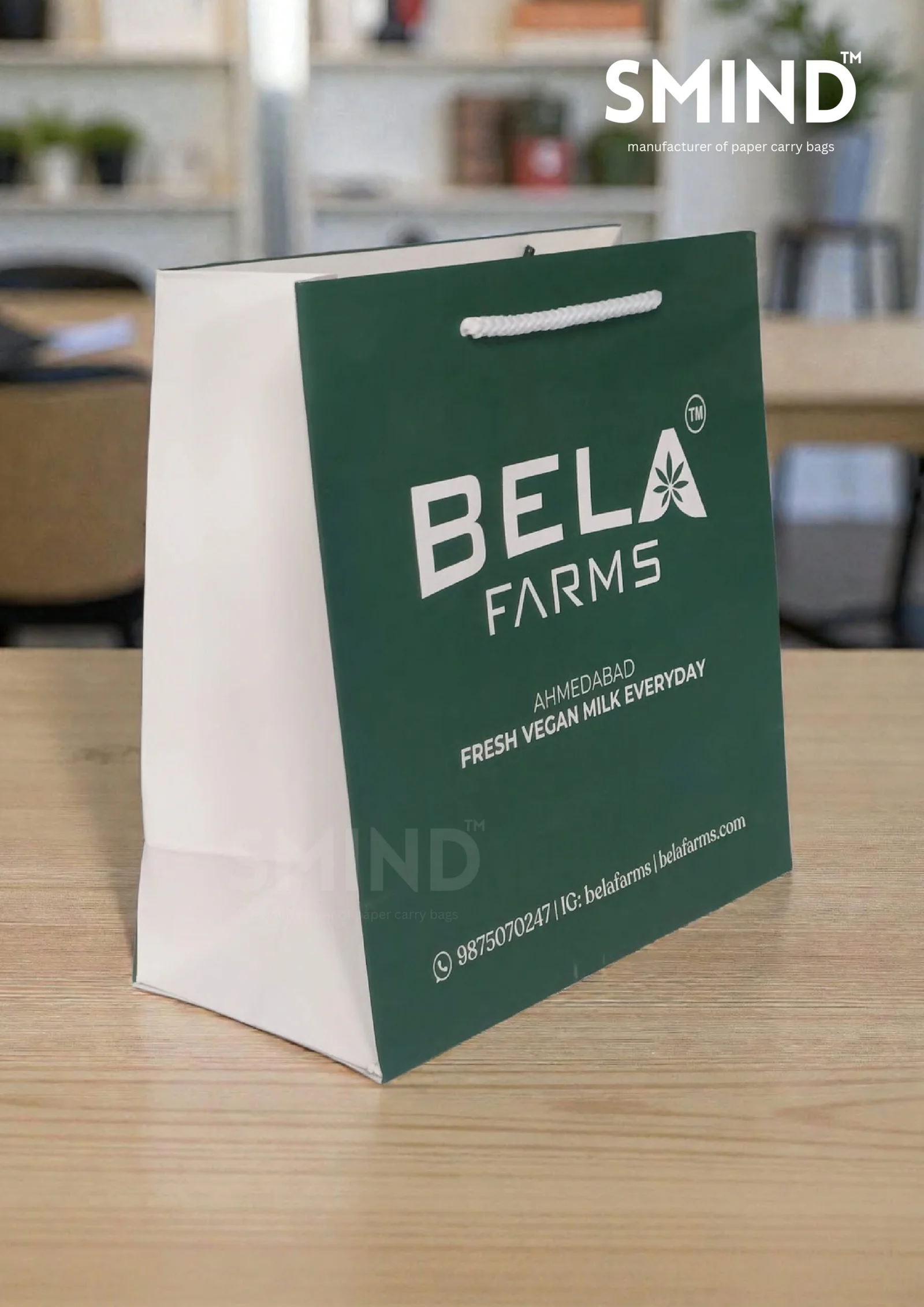 Food Paper Bag