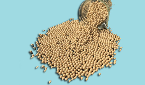 Molecular Sieve Pouch