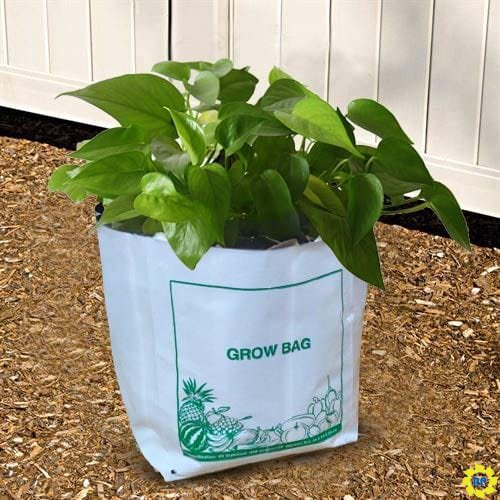 Compostable Grow Bag