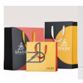 Luxury Paper Bag