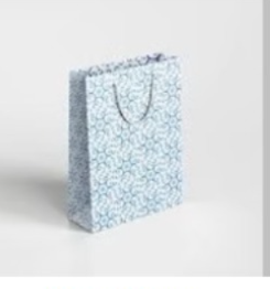 Paper Gift Bag